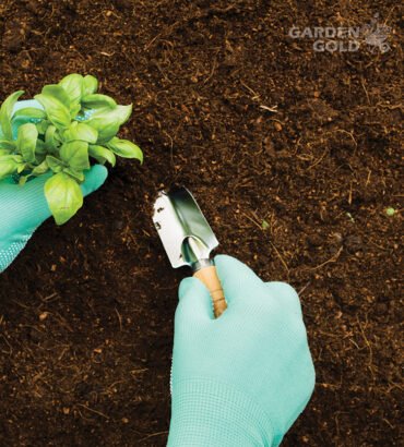 vermicompost organic manure