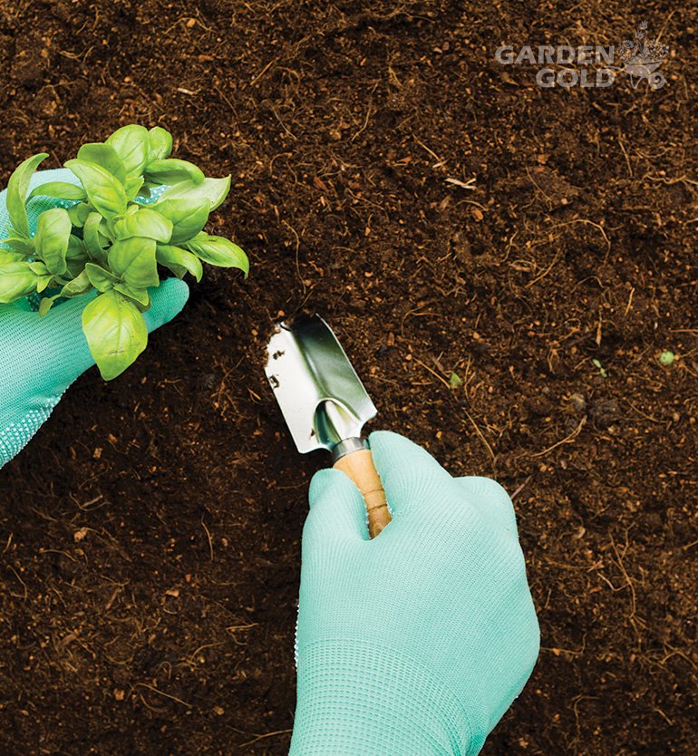 vermicompost organic manure