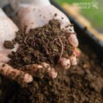 Vermicompost plant
