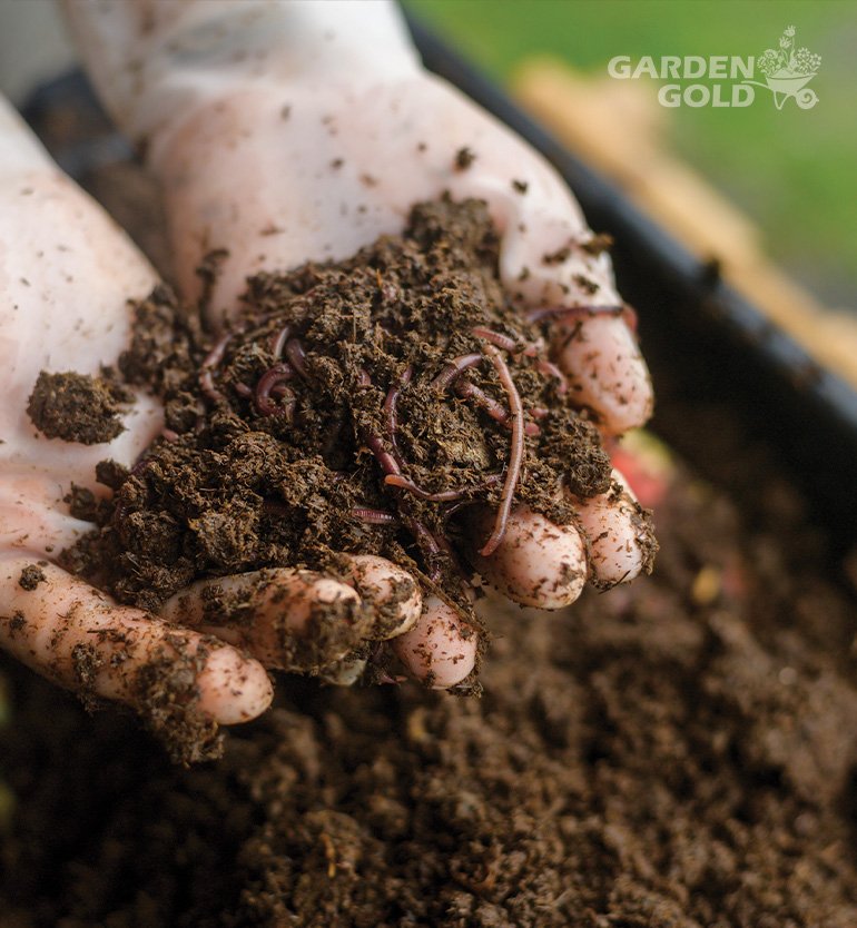 How Drip Irrigation Can Be Useful for a Vermicompost Plant