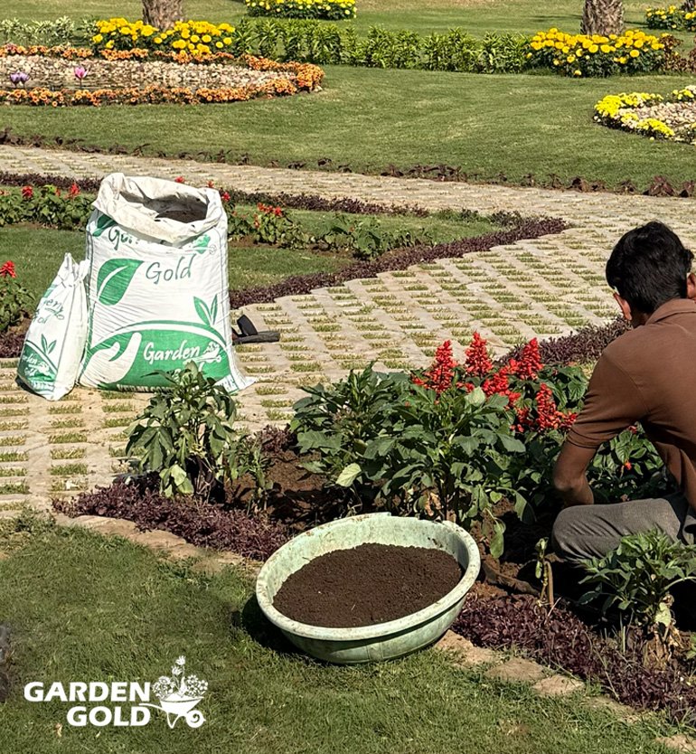Organic Vermicompost